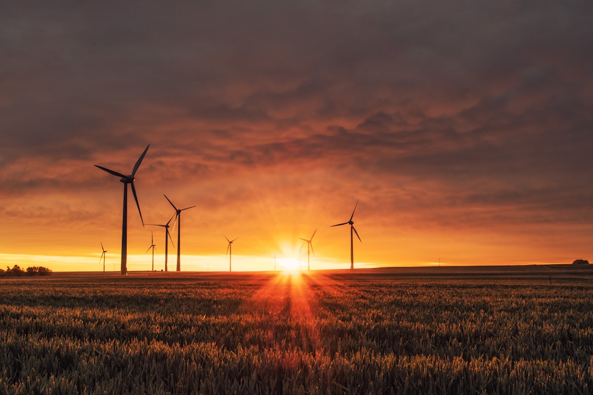 Electrical transmission towers at sunset